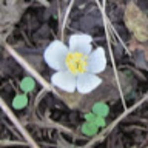 Meet your Posher, Leighan